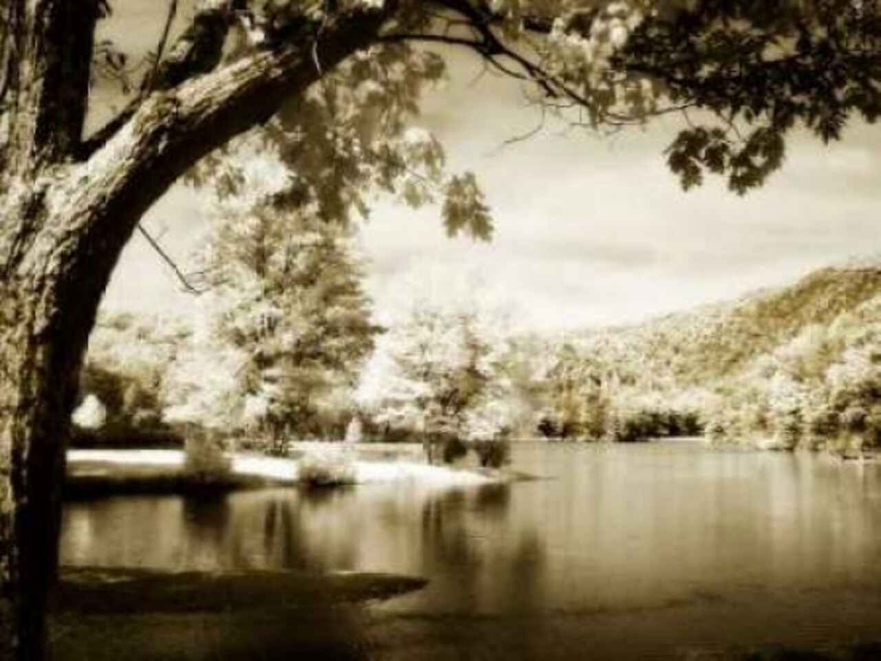 Mountain Lake II Poster Print by Alan Hausenflock - Item # VARPDXPSHSF1100